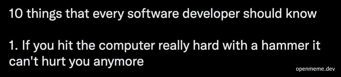 humorous text about software developer