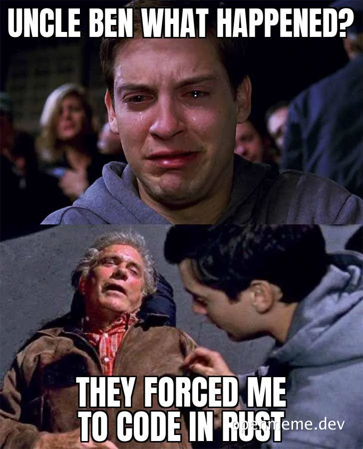 Spider-Man and Uncle Ben meme with text 'UNCLE BEN WHAT HAPPENED? THEY FORCED ME TO CODE IN RUST'
