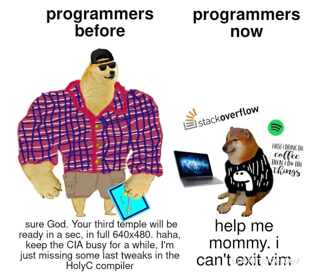programmers before and now meme