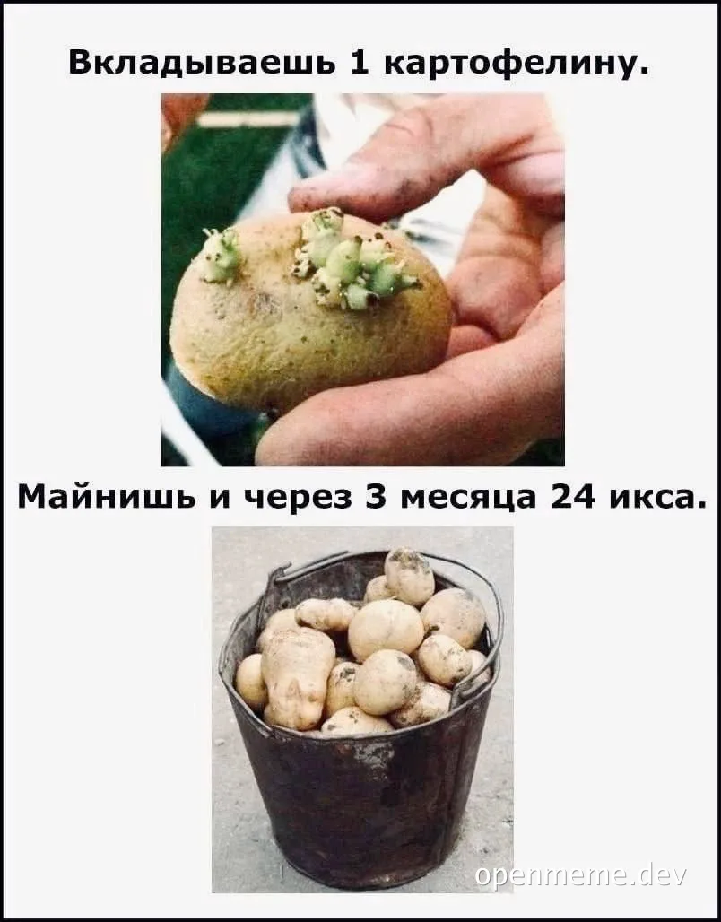 russian-meme-about-potatoes