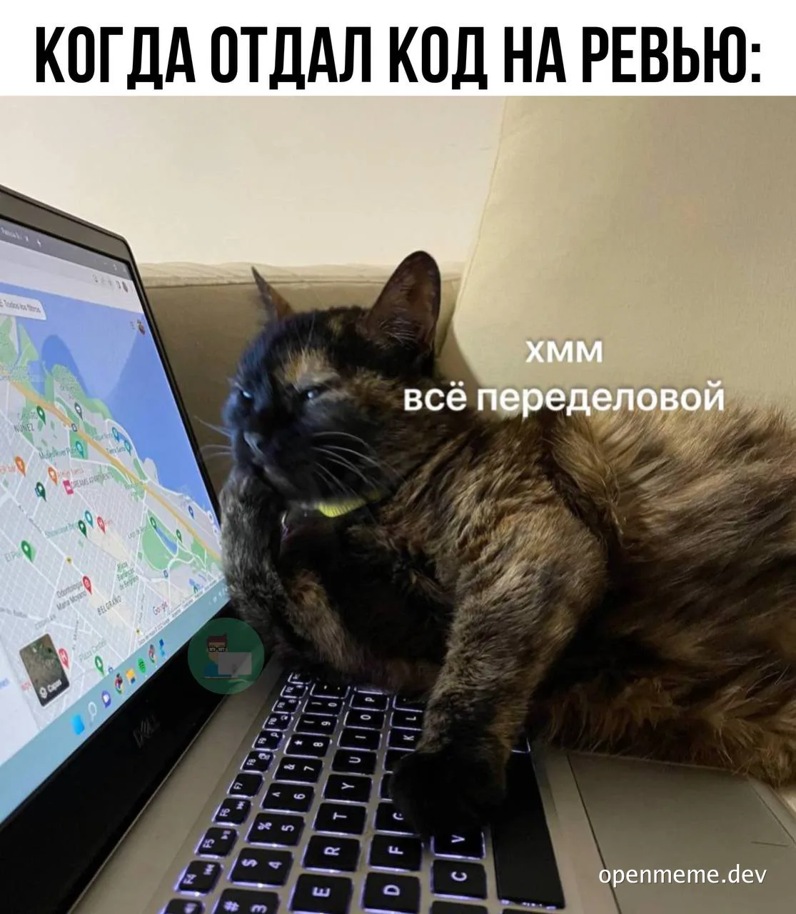 cat on laptop with map on screen and russian text