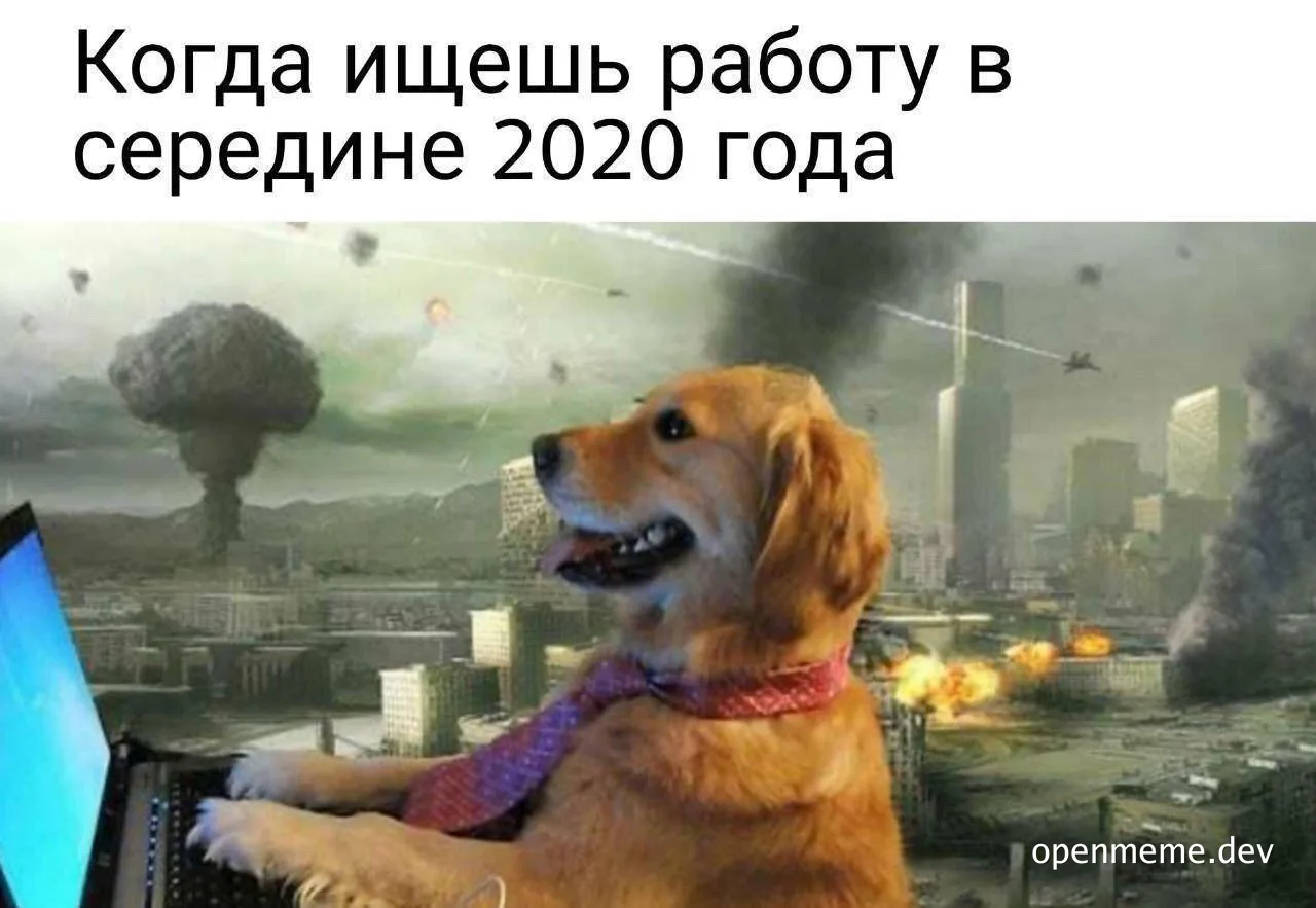 A dog in a tie sits at a computer with a post-apocalyptic cityscape behind it