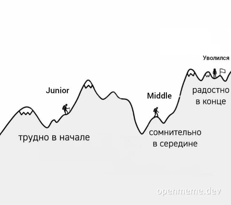 junior vs middle developer career path meme