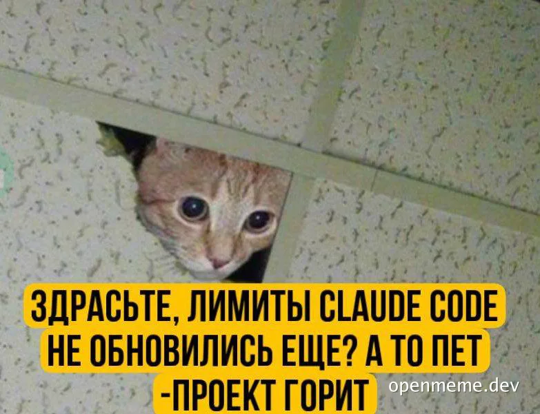 cat peeking through ceiling tile with russian text about claude code limits