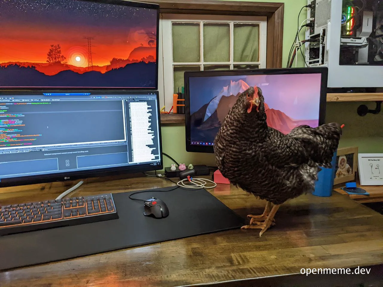 chicken on developer desk with two monitors