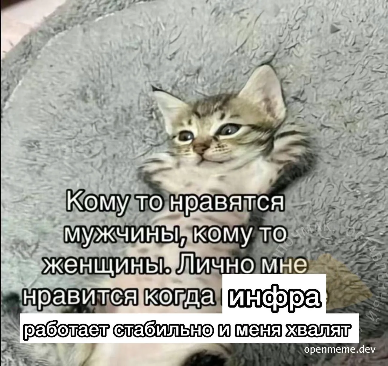 kitten on a cushion with russian text overlay