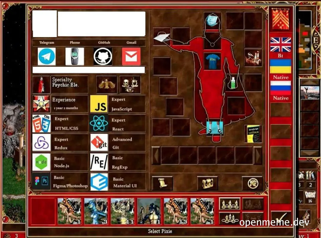 a developer character in a fantasy game with various programming skills