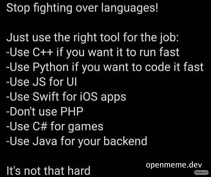 Stop fighting over languages meme