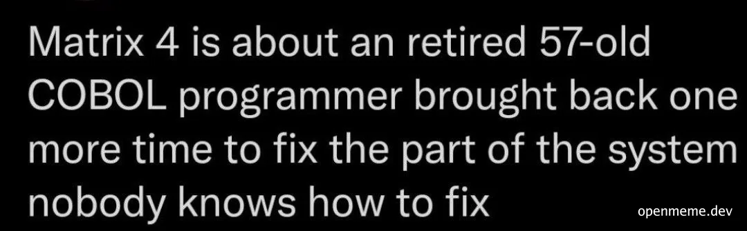 Meme text reading 'Matrix 4 is about an retired 57-old COBOL programmer brought back one more time to fix the part of the system nobody knows how to fix'