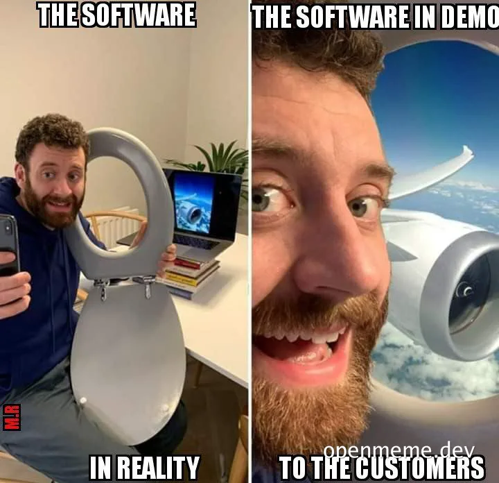Software demo vs reality meme