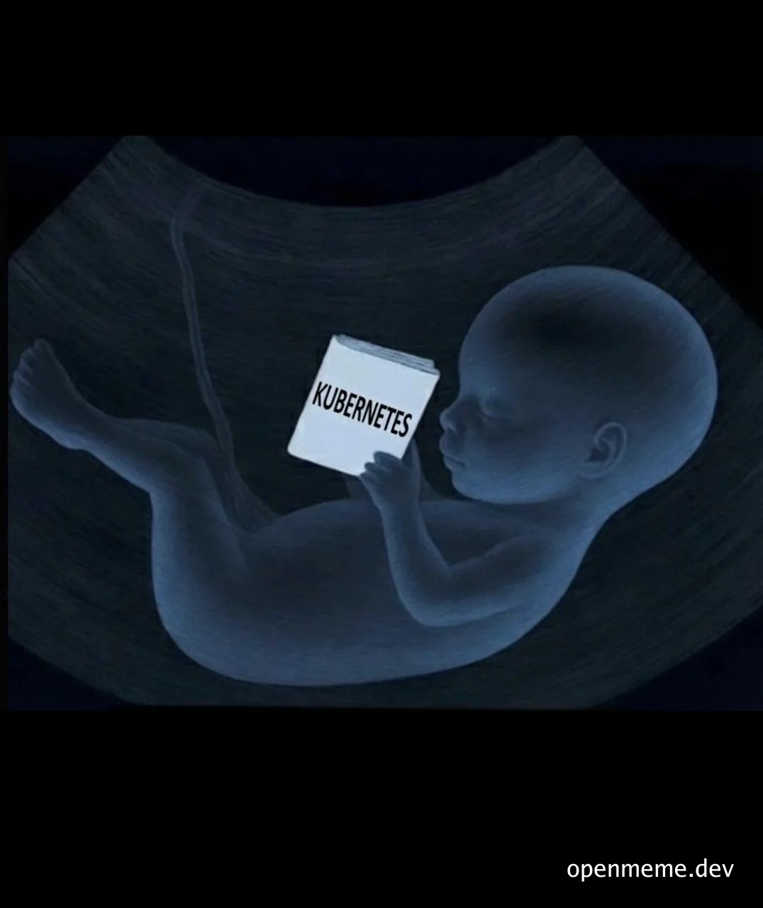 sonogram of a fetus holding a book titled Kubernetes