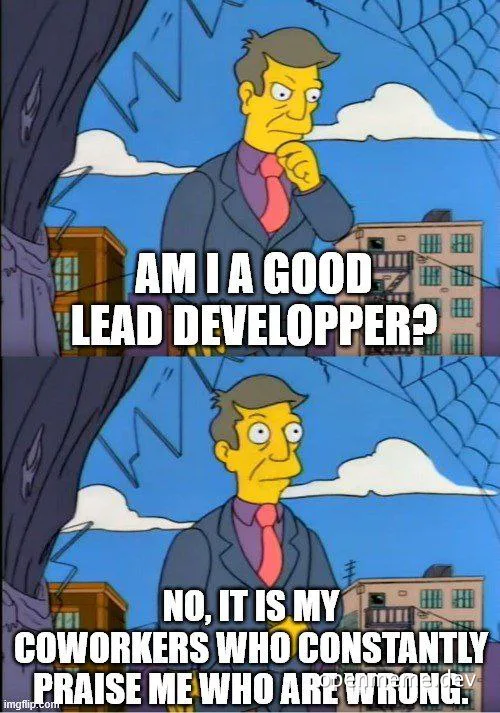 meme about questioning lead developer abilities