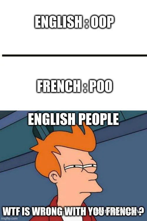 Futurama character looking disapprovingly to the side with text about English and French words for 'oops'