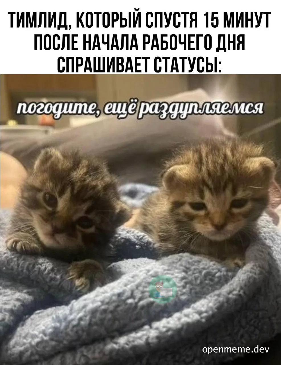 Two sleepy kittens on a blue blanket with Russian text overlay