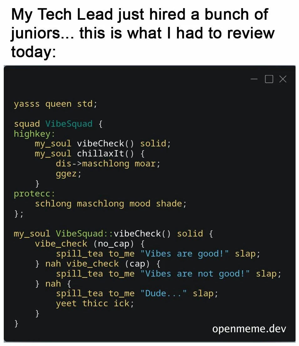 humorous code review meme with nonsensical function names and comments