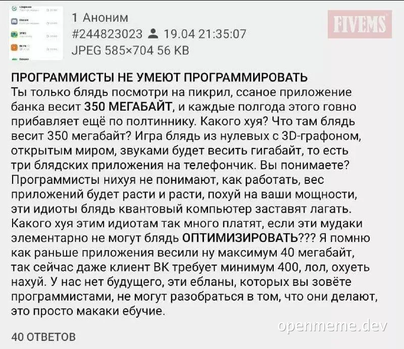 russian complaint about programmers