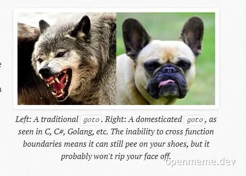 a wolf and a pug representing traditional and domesticated goto statements in programming