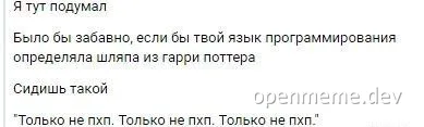 russian meme about programming language determined by harry potter hat