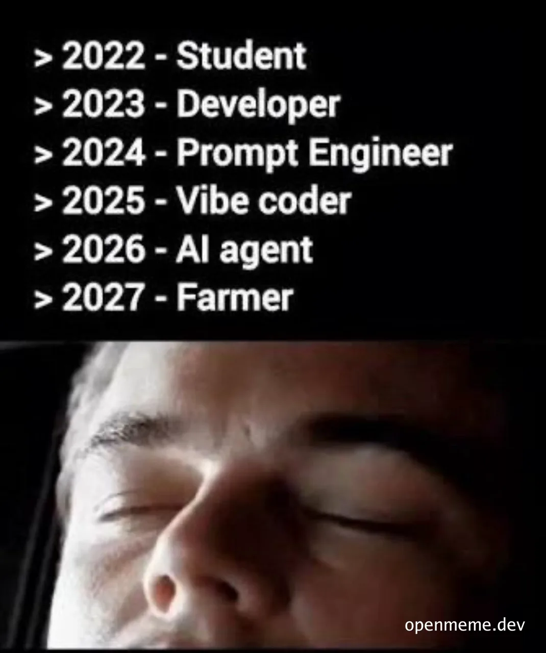 Elon Musk face with text about developer career path
