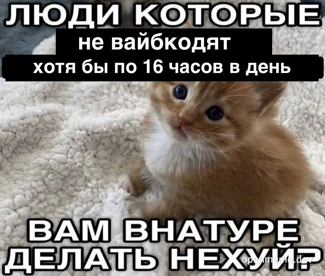 Cute orange kitten sitting on a white fluffy blanket with Russian text about people who vibe-code 16 hours a day
