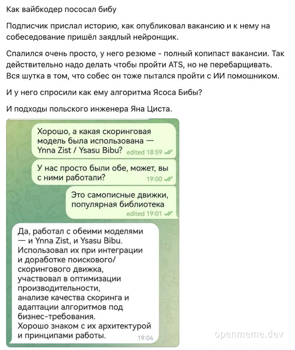 Скриншот переписки, где кандидат на собеседовании пытается блефовать с помощью ИИ, называя несуществующие модели Ynna Zist и Ysasu Bibu