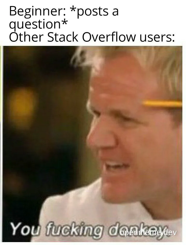 Gordon Ramsay meme with text 'You fucking donkey'