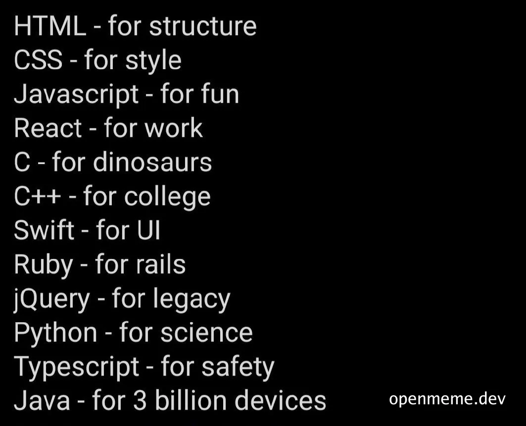 Programmer humor about coding languages