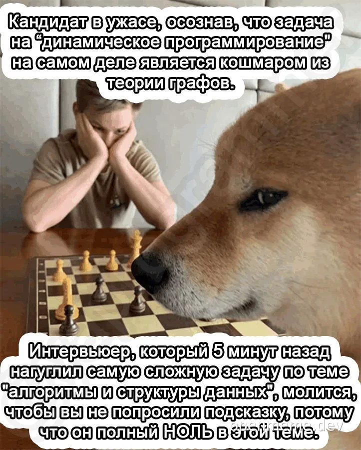 Мем с собакой и человеком за шахматной доской, реакция на сложную задачу по программированию