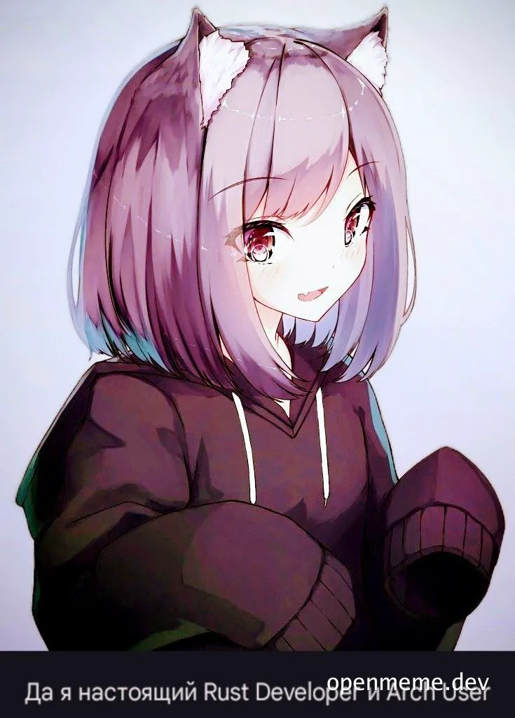 Anime girl with purple hair and cat ears wearing a hoodie with text overlay