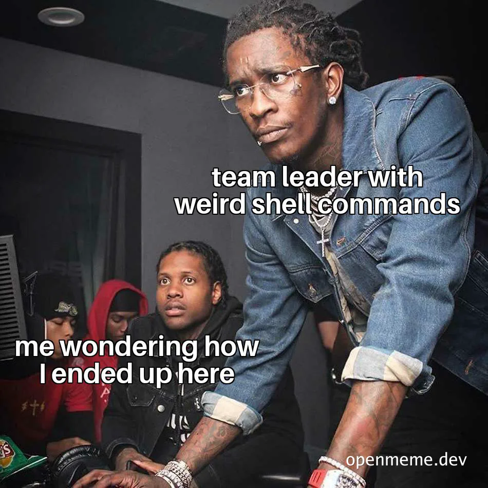 team leader with weird shell commands meme