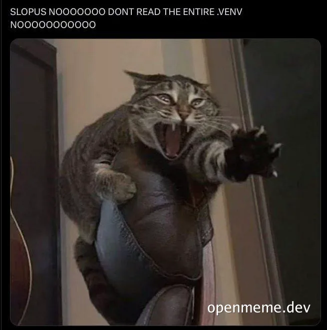 angry cat meme with text 'SLOPUS NOOOOOOO DONT READ THE ENTIRE .VENV NOOOOOOOOO'