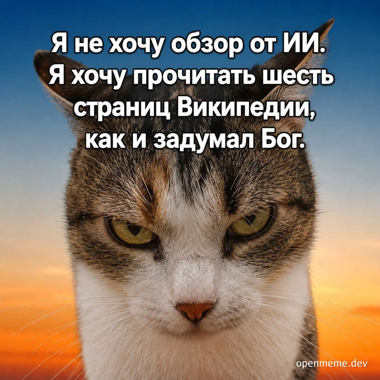 Серьёзный рыжий кот на закате с русским текстом: «Я не хочу обзор от ИИ, я хочу прочитать шесть страниц Википедии, как и задумал Бог»