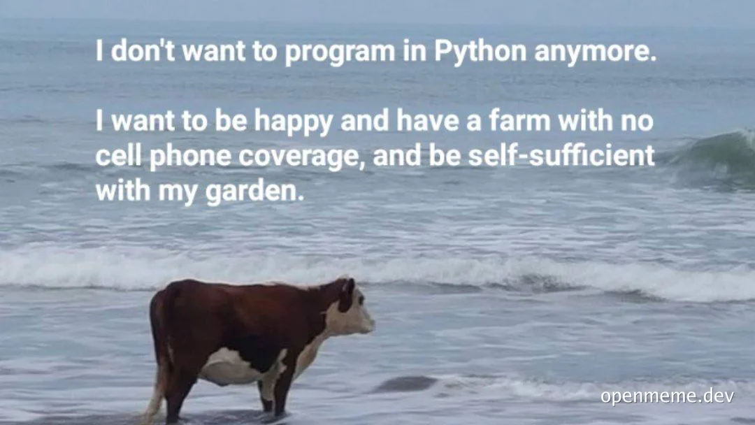 A cow standing on a beach with a text overlay about quitting Python programming for a farm life