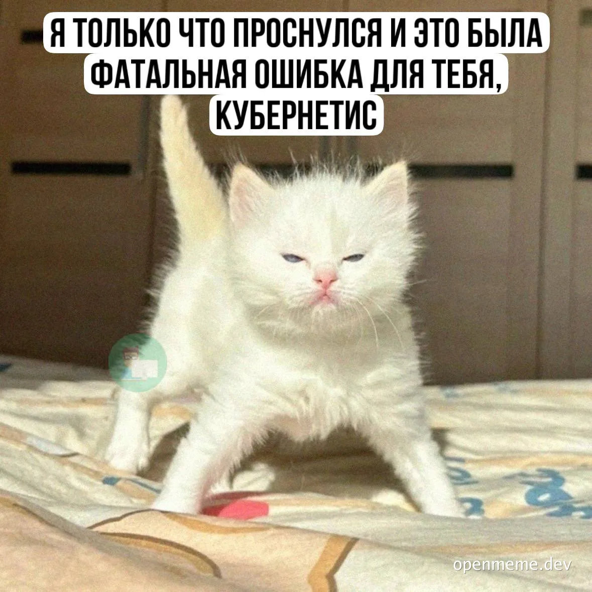 angry white cat with caption about kubernetes fatal error