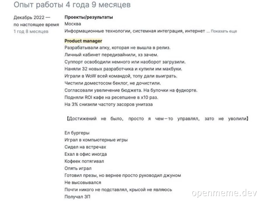 Product manager resume with humorous achievements
