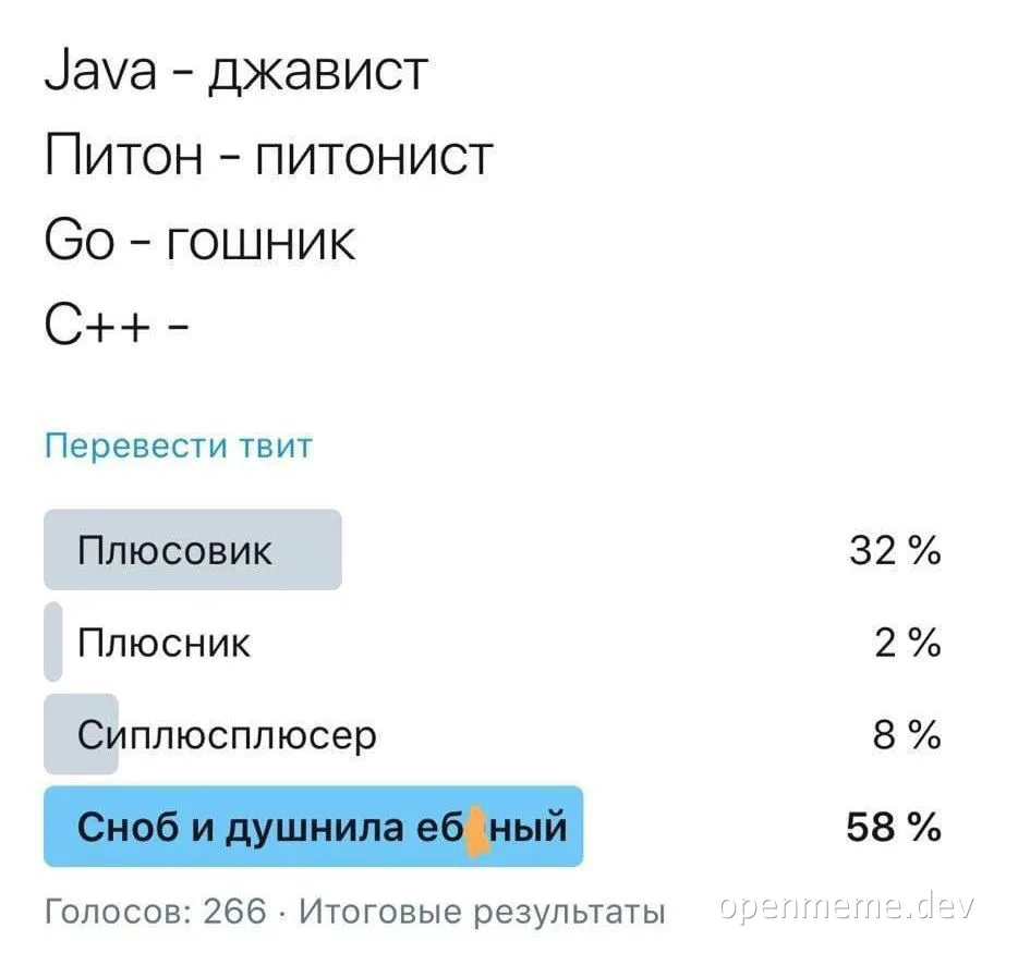 C++ developer slang poll results