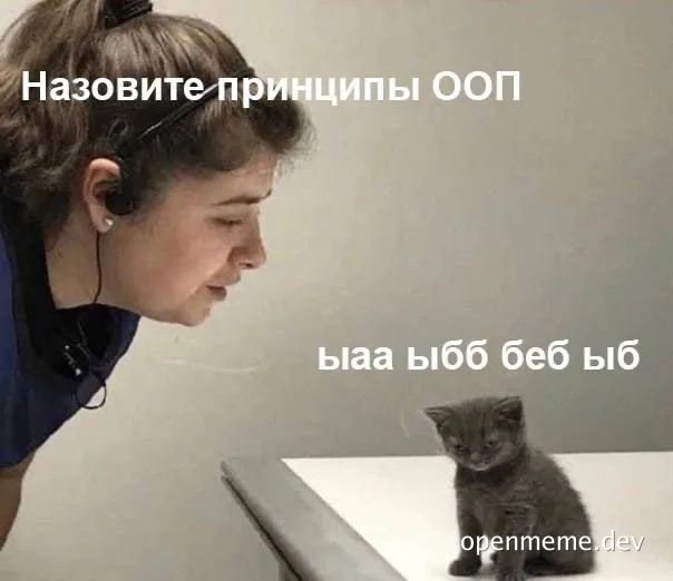 Woman looking at a kitten with russian text about OOP principles