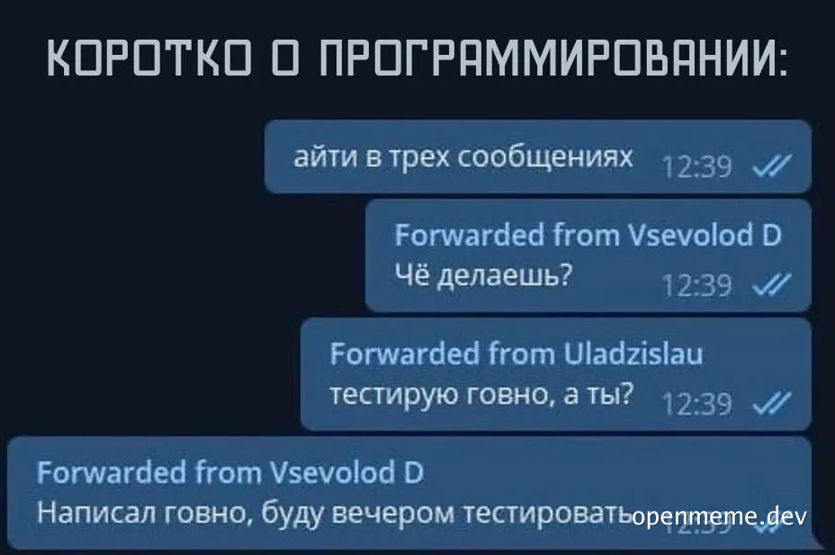 russian programmer humor image