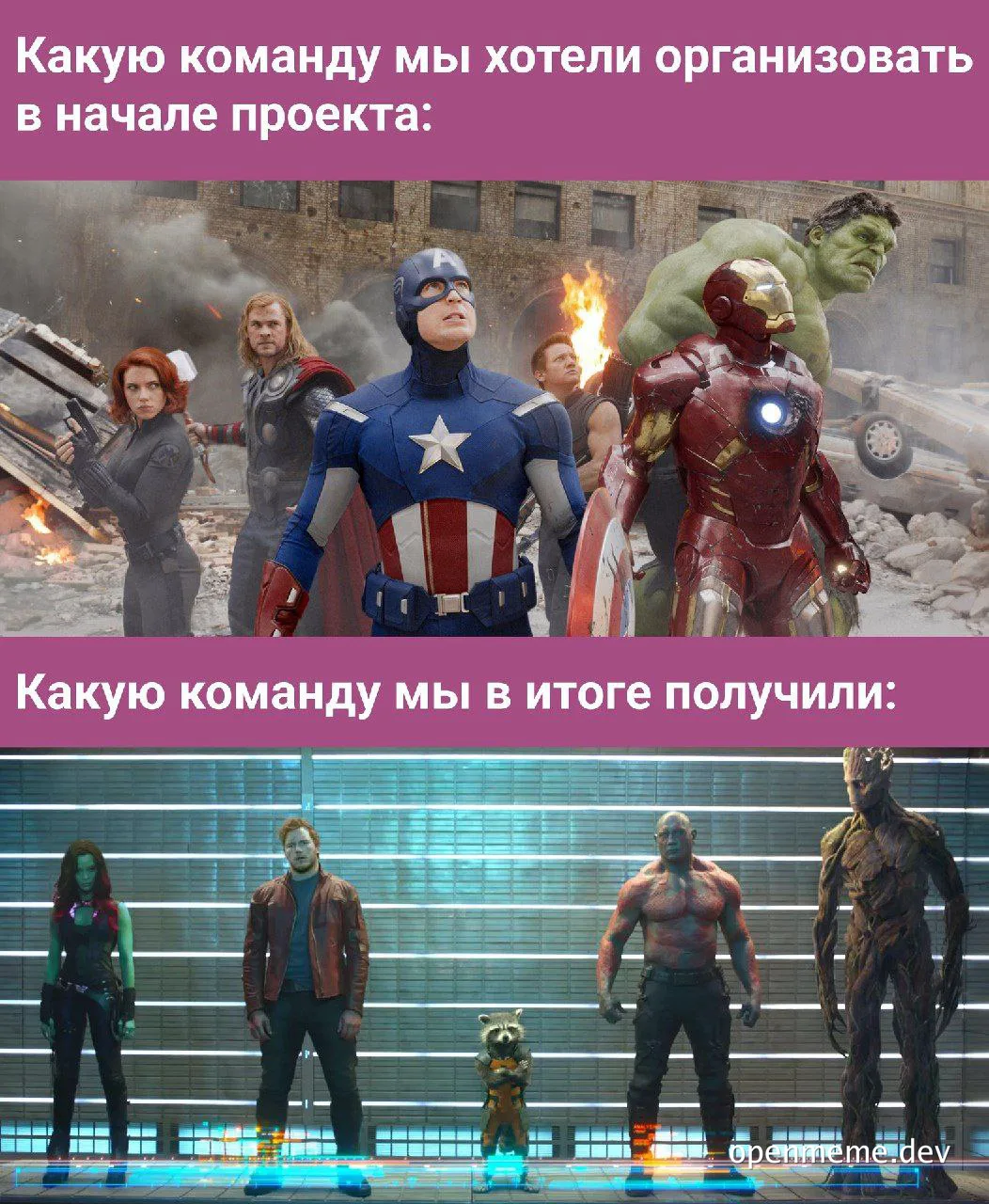 meme comparing ideal and actual project teams