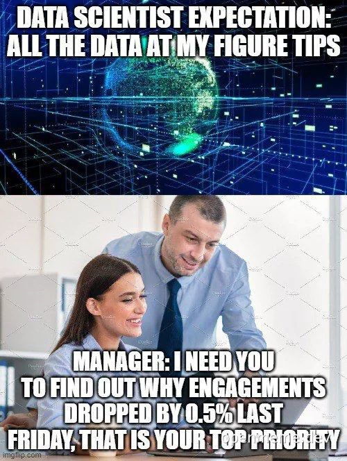 Data scientist expectation vs manager request meme