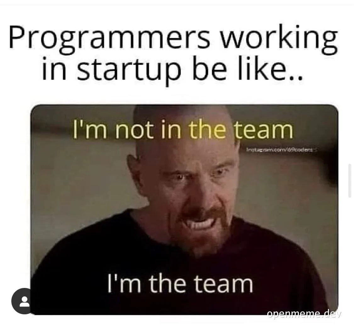 programmers working in startup meme