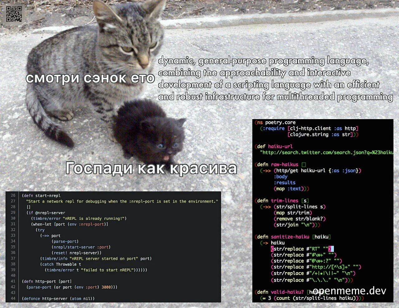 kitten and cat with russian text overlay coding examples