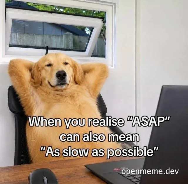 A golden retriever sitting in an office chair with paws behind its head, relaxing at a desk with a laptop, captioned 'When you realise ASAP can also mean As slow as possible'.