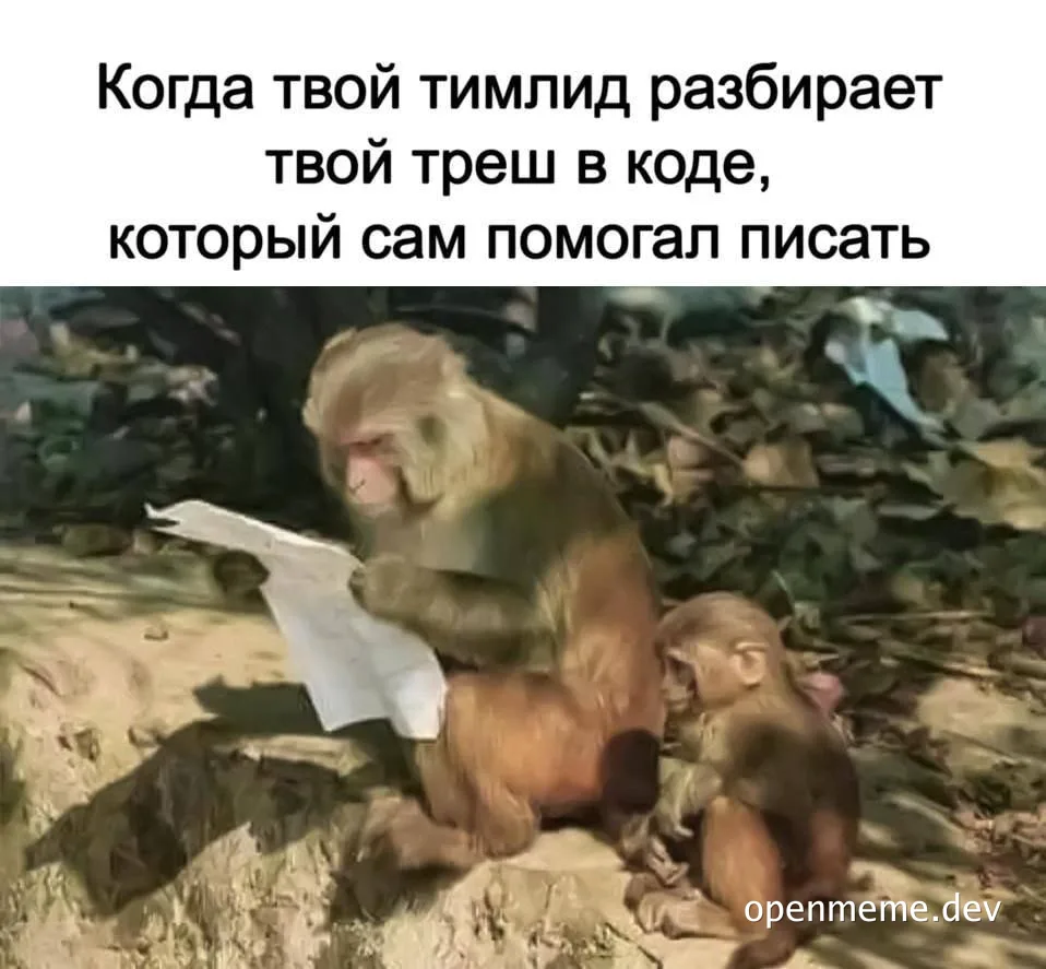 Monkeys meme about team lead reviewing messy code