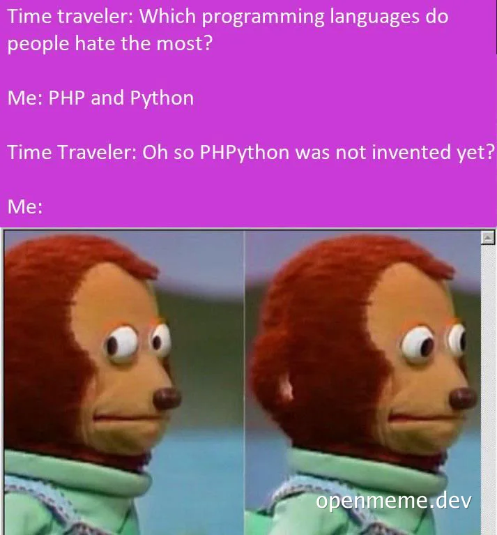 a meme about time travel and programming languages