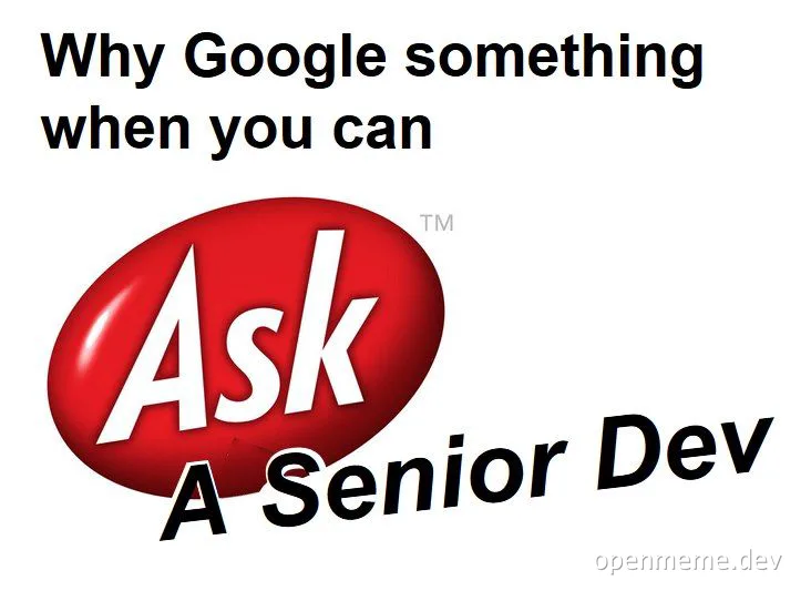Ask a Senior Dev meme