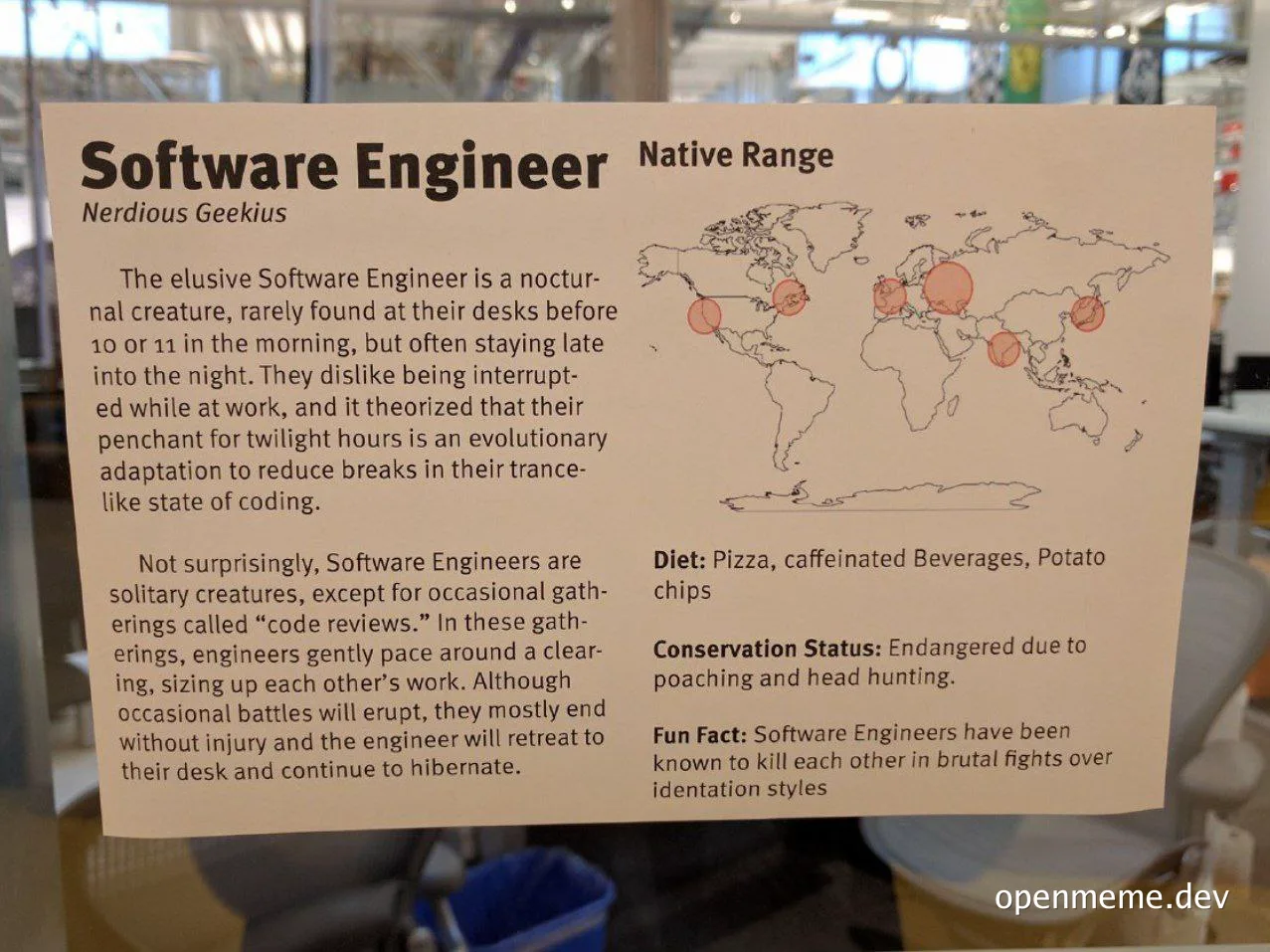 humorous description of software engineers as a nocturnal species