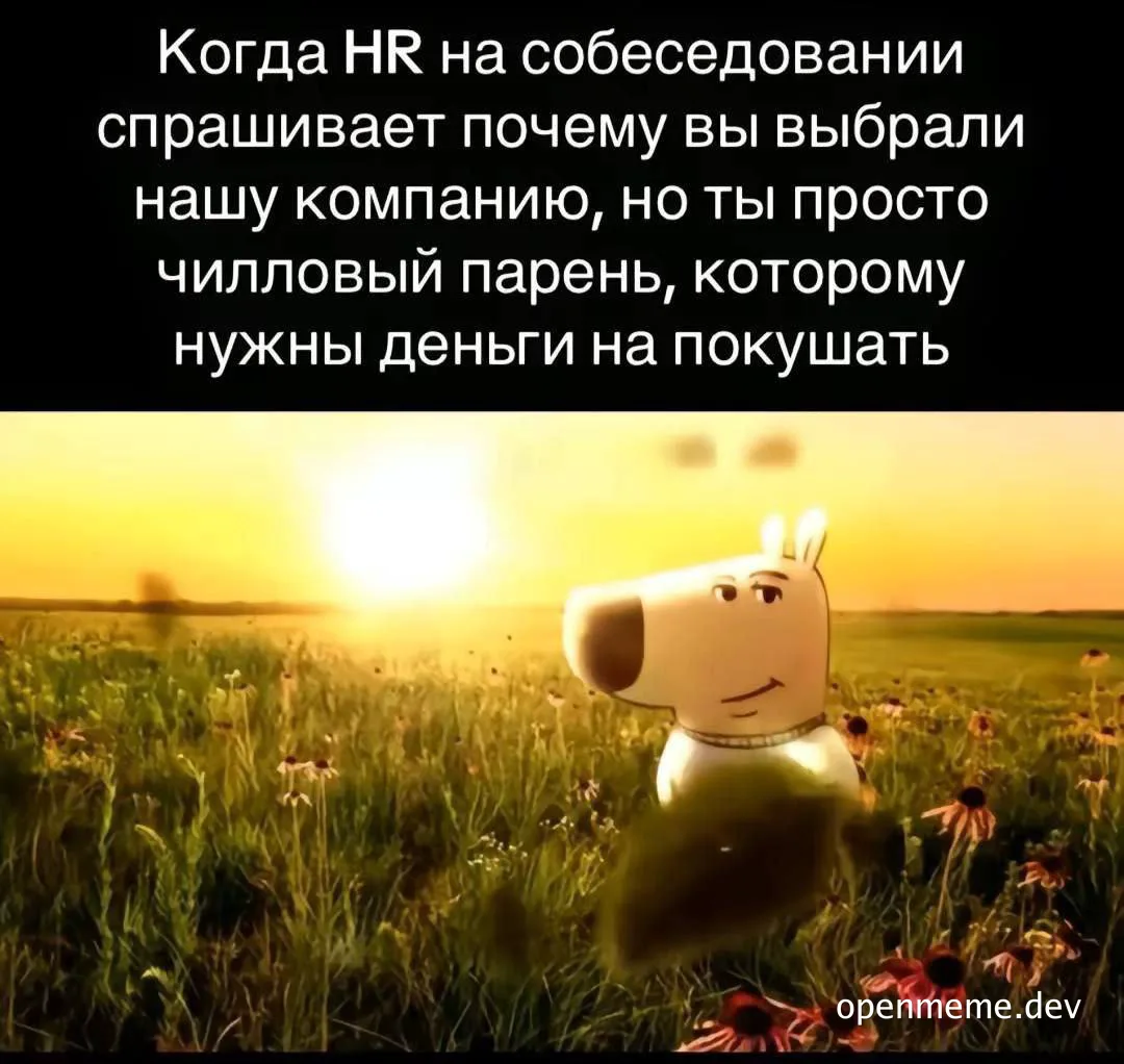 dog in a field with a sunset background and russian text about HR interview
