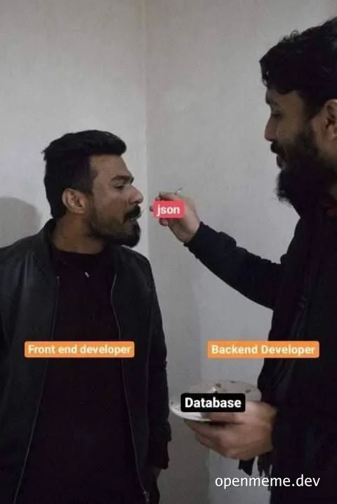 Two developers humorously acting out data exchange