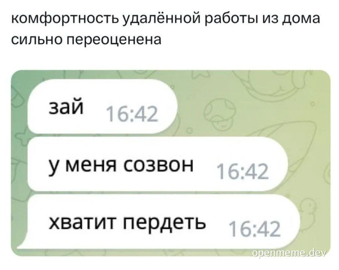 russian remote work meme about video call fart